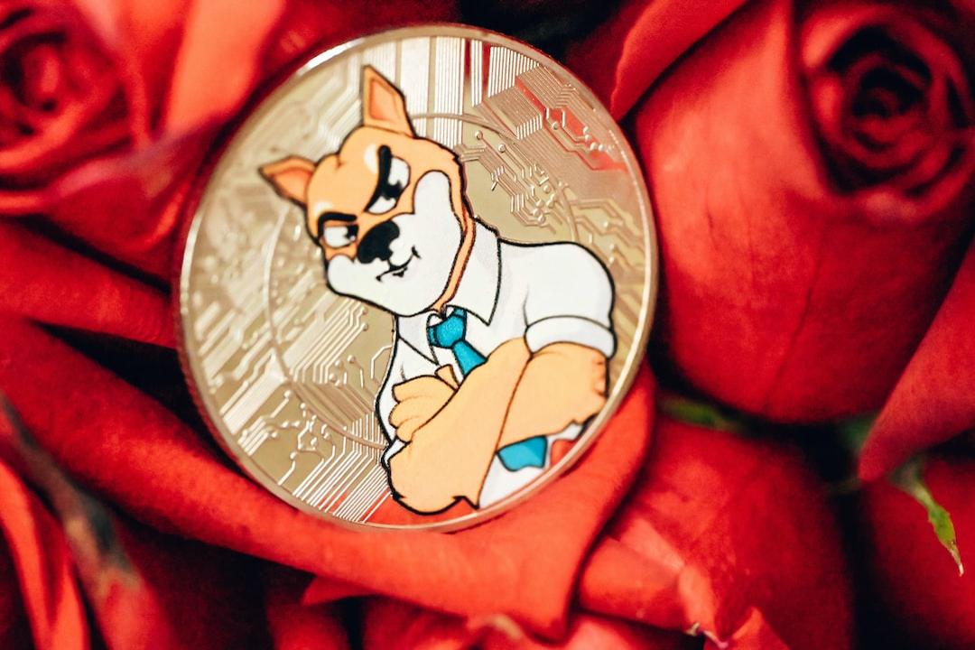 下周值得关注的顶级山寨币：dogwifhat、Pepe 和 BNB 可能迎来突破机会