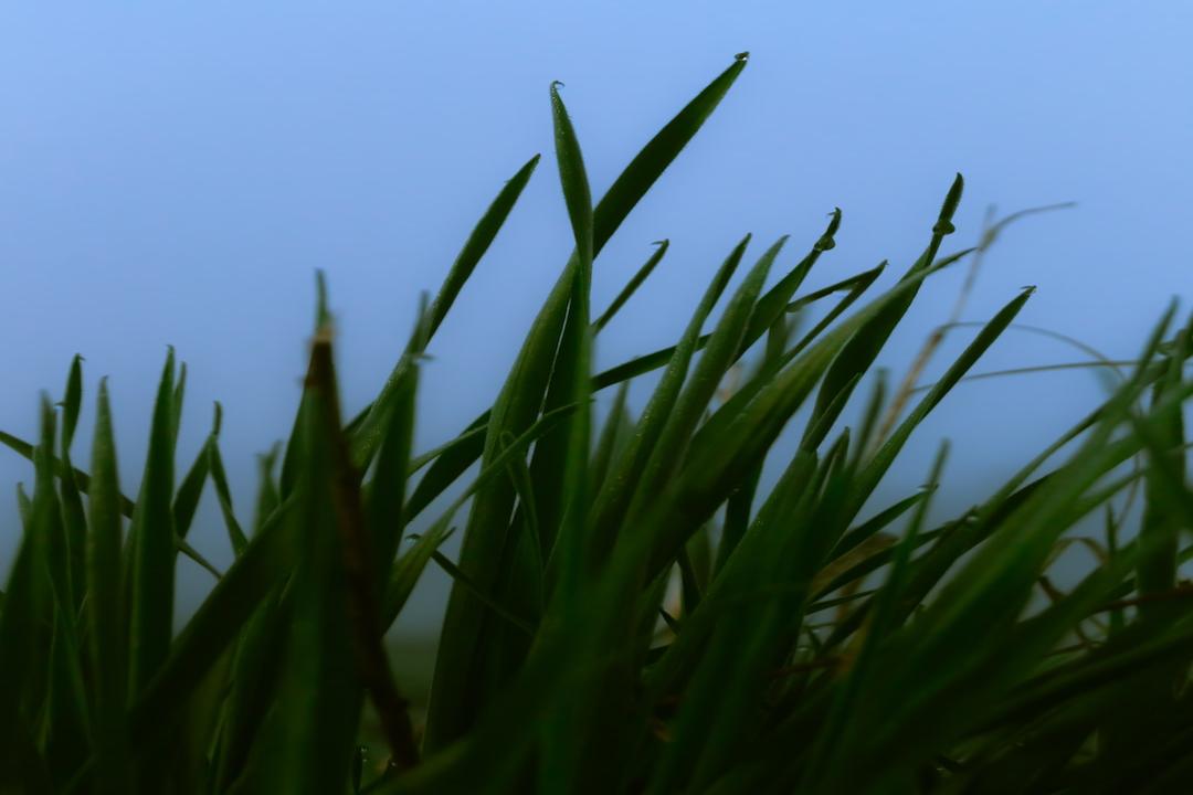 罗宾汉大胆的加密期货计划监管审查下的扩张决策